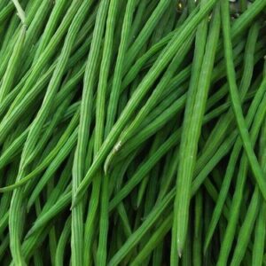 Drumsticks (Moringa)