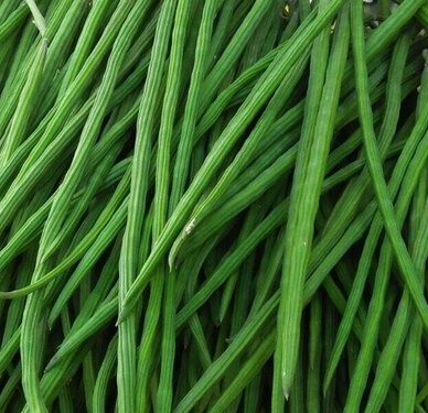 Drumsticks (Moringa)