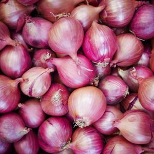 Onion